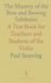 The Mastery of the Bow and Bowing Subtleties: A Text Book for Teachers and Students of the Violin