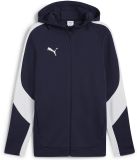 Puma TeamEVOSTRIPE Hooded Jacket 659947