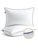 BedStory Kussens 65 x 65 cm, 2 stuks, in hoogte verstelbaar, hypoallergeen, machinewasbaar