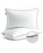 BedStory Kussens 65 x 65 cm, 2 stuks, in hoogte verstelbaar, hypoallergeen, machinewasbaar