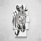 Homemania Zebra-5 dieren, voor woonkamer, meerkleurig, 100 x 3 x 60 cm, HM205PKNV-147, polyester, hout