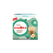 GIMOKA GINSENG AMARO Capsules compatibles Dolce Gusto 16 capsules 128 g