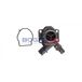BOGAP Thermostat d'eau E4245102