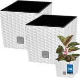 KOTARBAU® Vierkante Bloempot met Inzetpot - Vierkante Plantenbak 20x20 cm 2 Stuks - Plantenpot 6,8 L - Plantenbak - Kunststof - Rotanlook - Wit