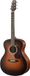 WALDEN Westerngitaar, Grand Auditorium, massief plafond, Tobacco Burst, EQ, tas