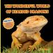 The Mimi Books The Wonderful World of Bearded Dragons: Interesting Facts About Bearded Dragons