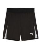 PUMA heren Gebreide Shorts Teamliga26 Referee Shorts