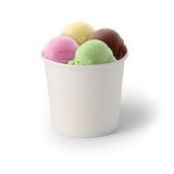 GREENBOX 50 x ijsbekertjes, karton, 250 ml, wit, wegwerpbekers, plasticvrij en biologisch afbreekbaar, dessertschaal, to-go-beker