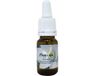 Star Remedies Protectie 10 ml