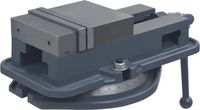 vidaXL Bankschroef draaibaar 160 mm gietijzer