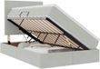 vidaXL LED opbergbed met matras Lichtgrijs 120 x 200 cm Fluweel