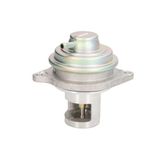 Delphi Technologieën EG10525-12B1 van het EGR-ventiel
