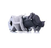 Delphi EG10415-12B1 EGR-ventiel