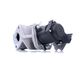 Delphi EG10415-12B1 EGR-ventiel