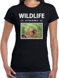 Bellatio Decorations Bol Dieren foto t-shirt Eekhoorn - zwart - dames - wildlife of the world - cadeau shirt eekhoorns liefhebber XL