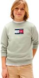 Tommy Hilfiger Script Flag Sweatshirt Misty Sage Jongens 12 Jaar