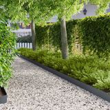 vidaXL Gazonrand 20 st 100 x 15 cm Staal Antraciet