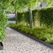 vidaXL Gazonrand 20 st 100 x 15 cm Staal Antraciet
