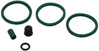Autofren Seinsa D4019 reparatieset, remklauw