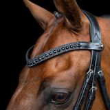 Imperial Riding IRHSlim Hoofdband, smalle leren hoofdband met glazen strass-steentjes en stiftsluiting, zwart, pony