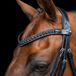 Imperial Riding IRHSlim Hoofdband, smalle leren hoofdband met glazen strass-steentjes en stiftsluiting, zwart, pony