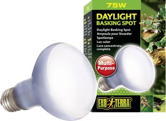 Exo Terra Sun Glo Basking Spot Lamp - 75W