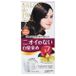 DARIYA Salon De Pro Coloration Liquide 07 Noir Naturel