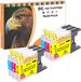 Brother Cartouches d'encre compatibles XL Set (6 pièces)