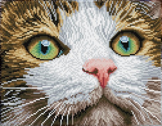 SinQel diamond dotz green eyed beauty diamond painting, 11.904 dotz, 43x35 cm