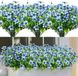 Unyqoos Fleurs artificielles 8 bouquets pour extérieur, résistant aux UV, bleu foncé