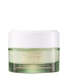 bareMinerals SKINLONGEVITY Hydration Haven Gel Cream Gezichtscrème