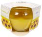 CASAPIU' Citronella ronde kaars CAN4012A, IRG123
