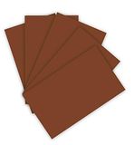 Folia Karton A4 220g/m² Chocoladebruin 100 Vel