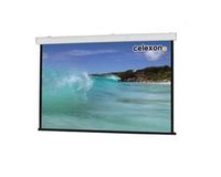 Celexon Expert Motorized Projector Screen 300x169 cm 16:9