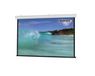 Celexon Expert Motorized Projector Screen 300x169 cm 16:9