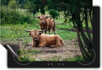 Chefcare Inductie Beschermer Twee Schotse Hooglanders in de Bossen - 65x55 cm