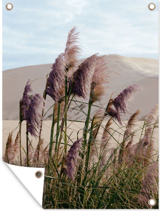 GreatGardenPosters Tuinposter - Pampas - 30x40 cm - Buitenposter