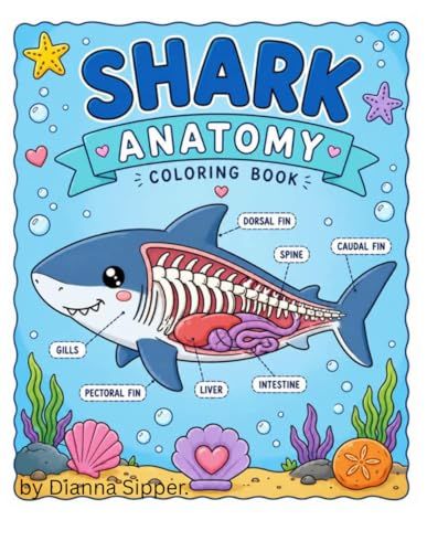 Shark anatomy for kids