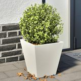 Prolenta Maison Exclusive - Plantenbakken, 2 stuks, wit, 30x30x30 cm, staal
