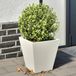 Prolenta Maison Exclusive - Plantenbakken, 2 stuks, wit, 30x30x30 cm, staal