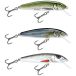Salmo Minnow Sinking 6g 60 mm