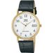 Q&Q Montre A31A-500PY Analogique Quartz Cuir Doré Noir