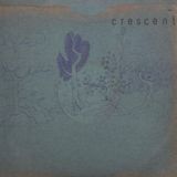 Domino Records Crescent Resin Pockets