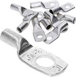 Kalitec 10 stuks HR10-8 standaard buiskabelschoenen 10 mm² M8 zilver koper