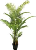 Buitengewoon Boet Kunst Areca palm - 190 cm