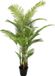 Buitengewoon Boet Kunst Areca palm - 190 cm