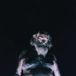 Suburban Nothing The Great Dismal CD