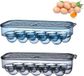 OEM Shenzhen Haorui Industrial Technology Co., Ltd. Draagbare eieropbergdoos, 2 stuks eiercontainer, koelkast eiercontainer met deken, eierhouderopslag, om eieren te beschermen en vers te houden met 16 roosters, voor koelkast, keuken, picknick, Koningsblauw, transparant zwart