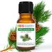 Scotch Laborbio Scotch Pine Bio Etherische olie 100% Pure 10 ml