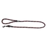 Jack and Vanilla - Robuuste hondenriem met lichtgevende punten en robuuste haak, voor wandelen, uitstapjes, kleur: zwart, afmetingen 12 mm x 120 cm